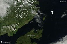 petermann-ice-island-110729-02