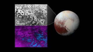 Halo-like craters on Pluto's surface display a puzzling distribution of methane ice and water ice.