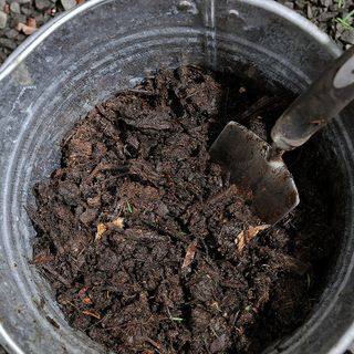 bucket filled with compost