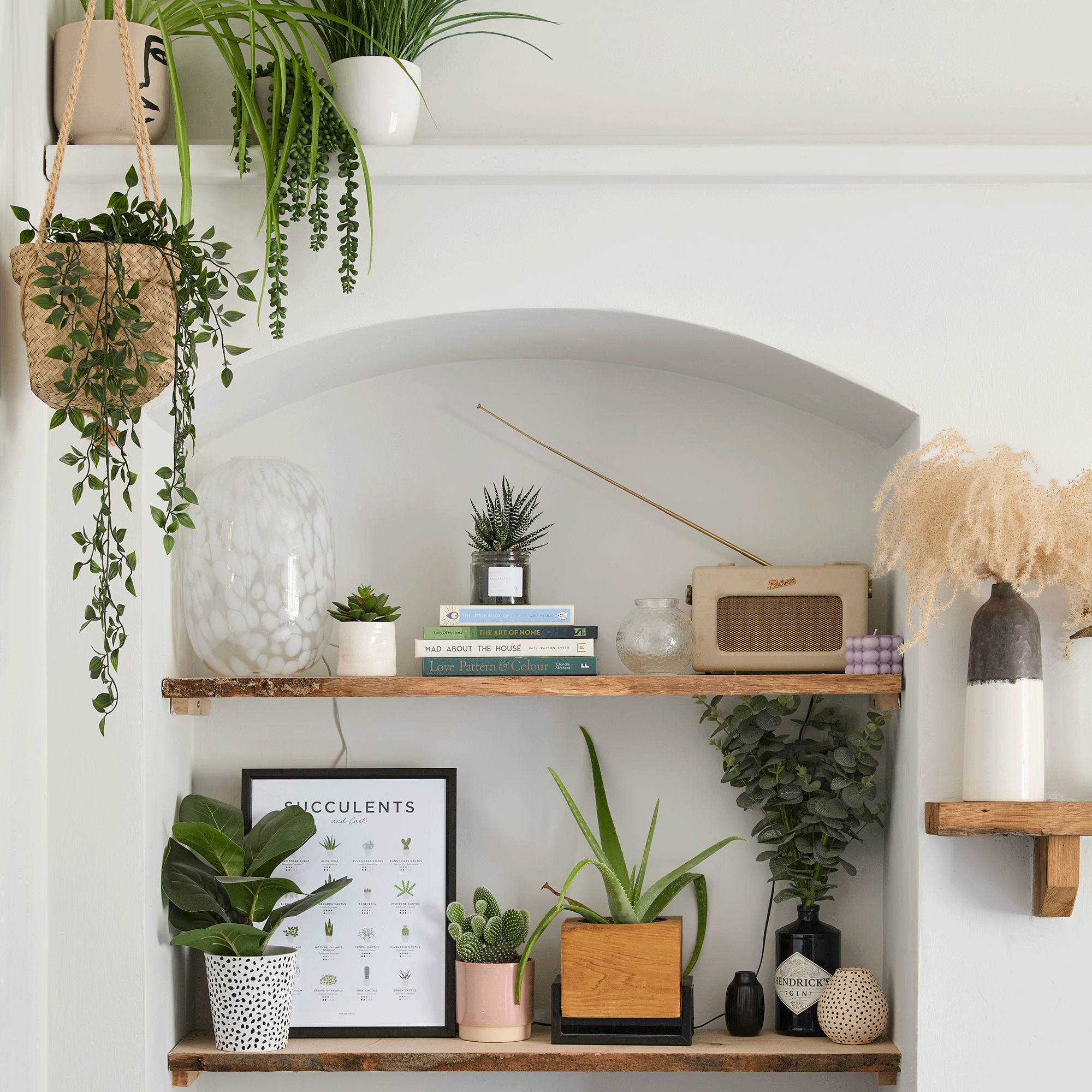 Alcove with wooden shelves and houseplant
