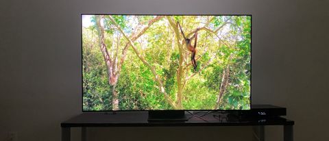 The Samsung QN90B QLED TV showing Planet Earth II