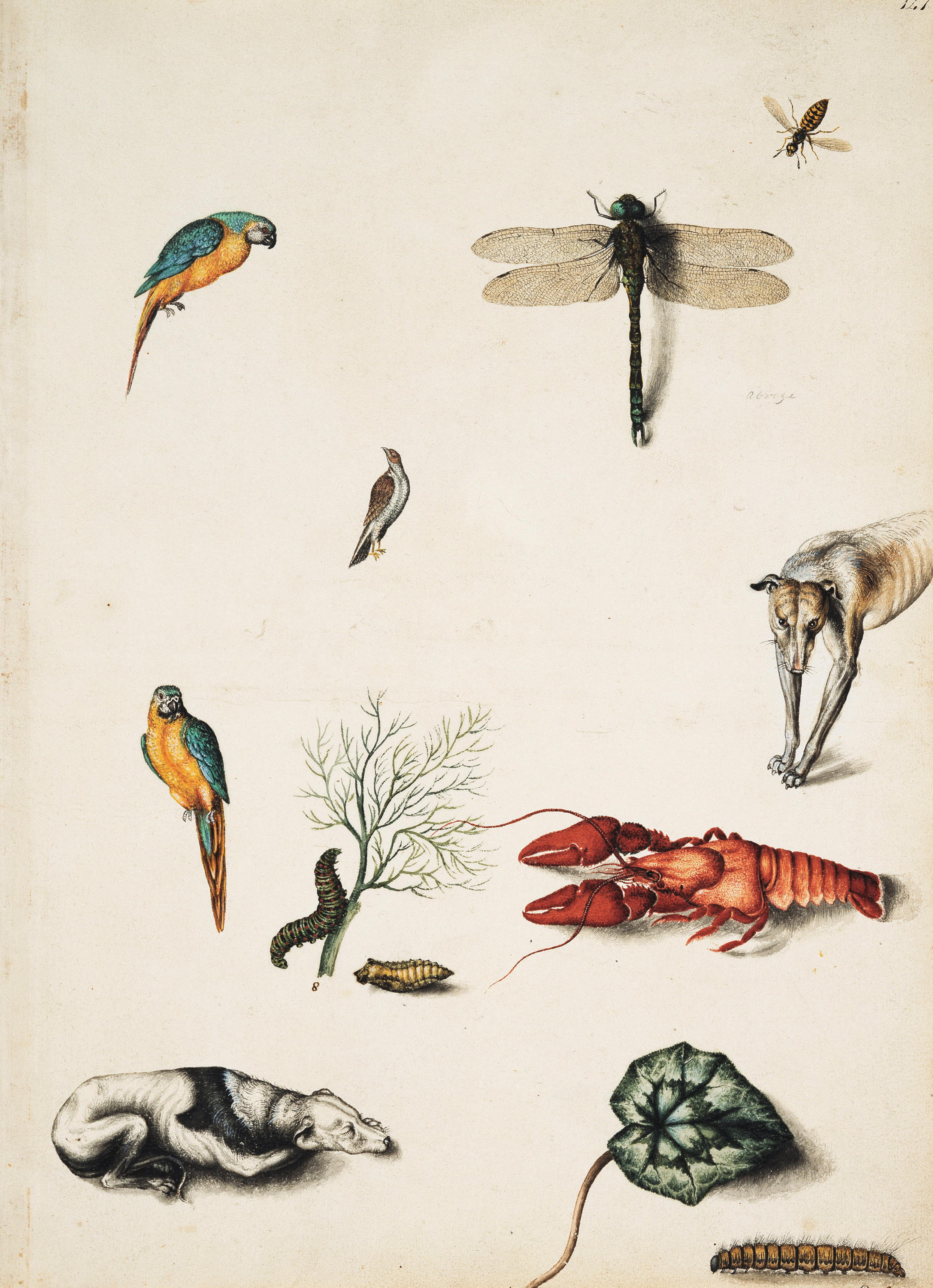 Paintings of Alexander Marshal