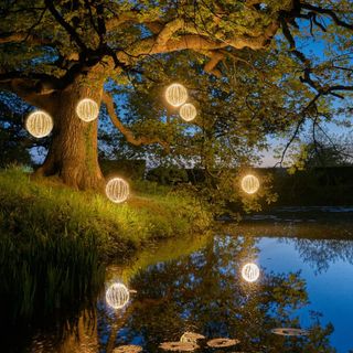 garden area with pond and hanging lights on tree