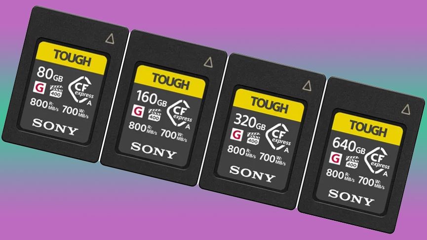 Sony CFexpress Type A cards on purple-green background