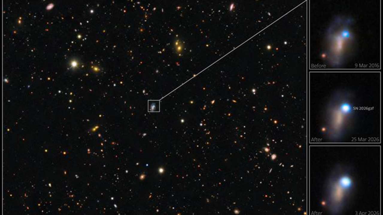A star 20 times the size of the sun died in a supernova — and telescopes around the world joined forces to watch it