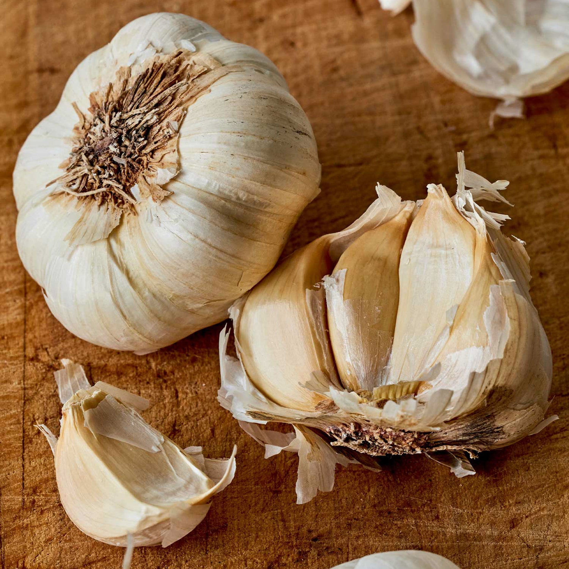 Early Italian Garlic Bulbs - 1/2 Lb Bulbs