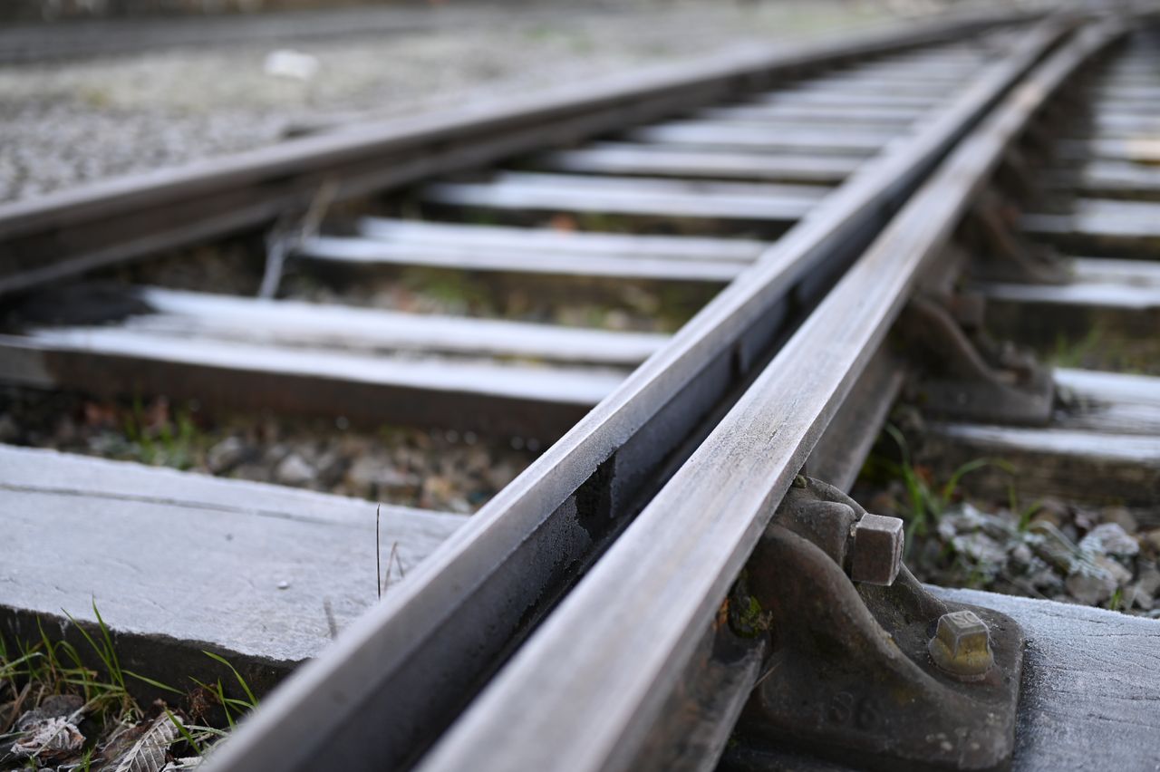 Nikon Z 35mm f/1.2 S example shot