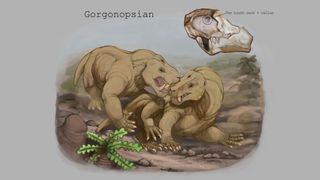 Illustration showing one gorgonopsian biting the other on the face.