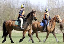 Junior endurance riders