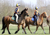Junior endurance riders