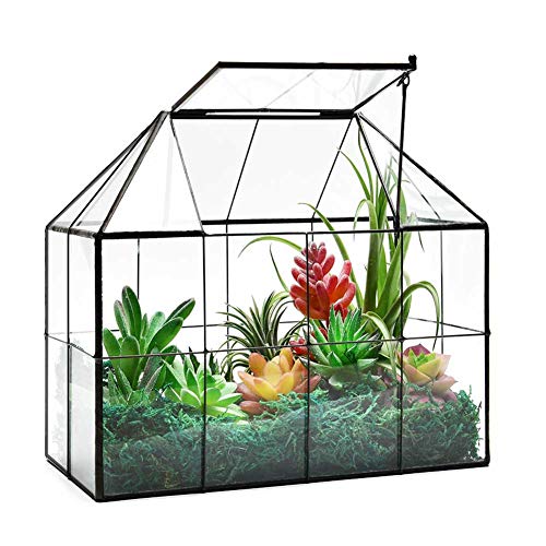 Large Glass Terrarium House Planter &amp;ndash; Succulent Plant Glass Greenhouse With Lid 9.8"x7.9"x5.9" Na