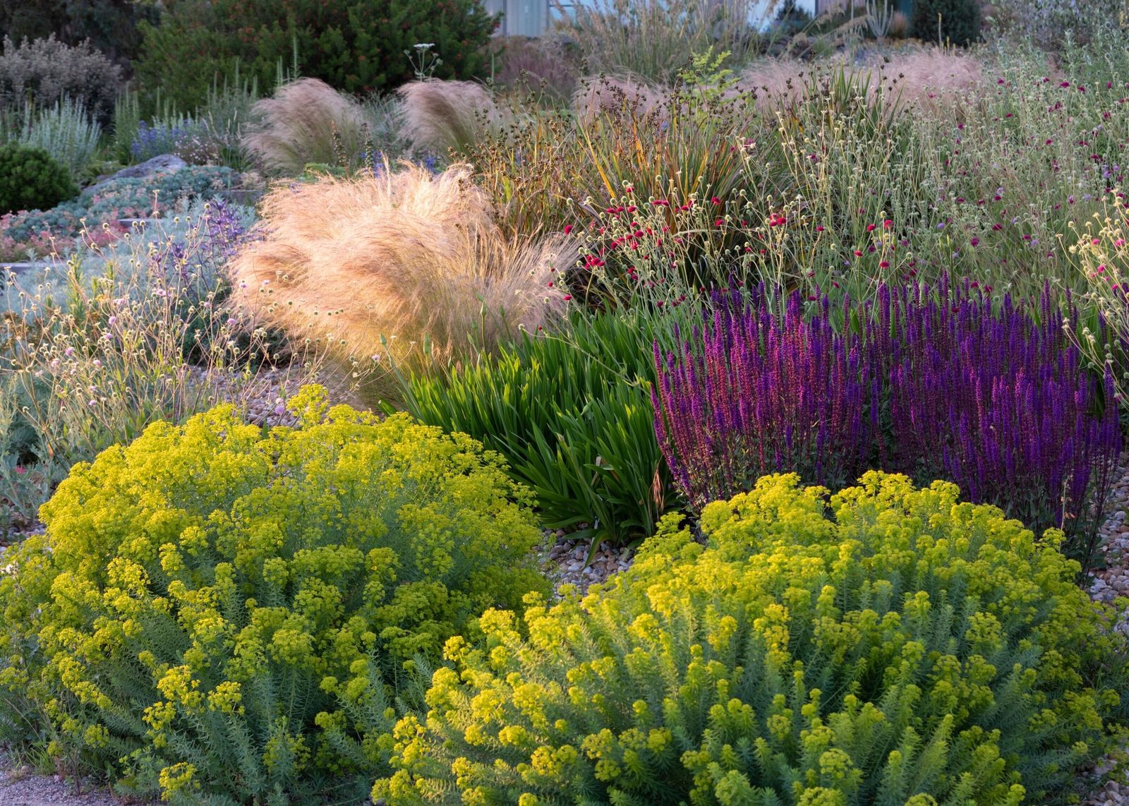 Maximalist's Garden main image 0