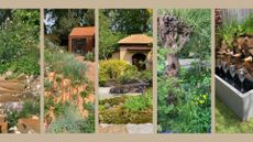 Compilation garden images to show RHS Chelsea garden Show 2025 highlights