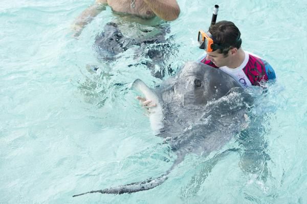 Riders had a chance to mix with the wildlife