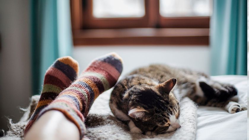 Fall Asleep Fast Tonight | 1 Hour Yoga Nidra for Deep Sleep (Ocean ...