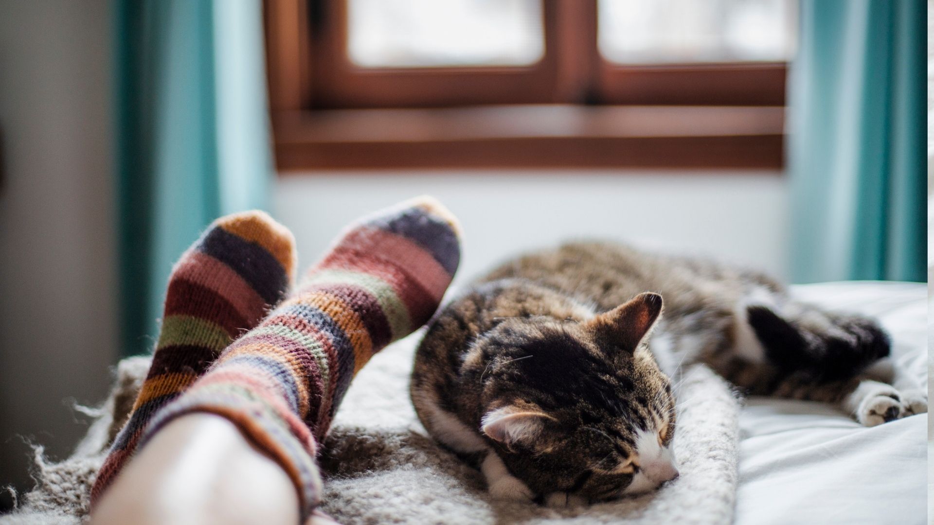 The image shows a close up of a pair of feet in stripy wool socks next to a sleeping cat