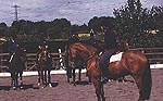 8C40AF5E-B0B7-4EE4-919D-F8F37F4BF059.jpg