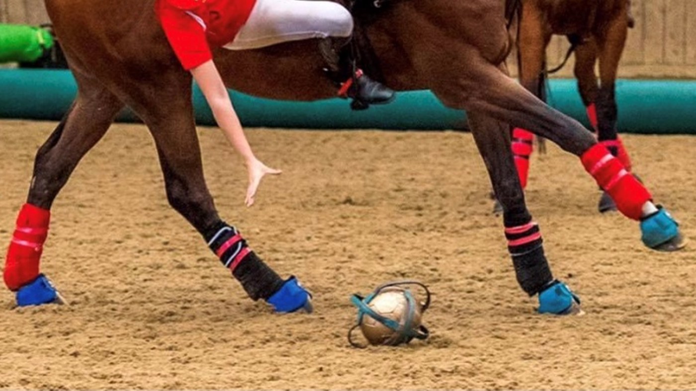 Horseball.jpeg