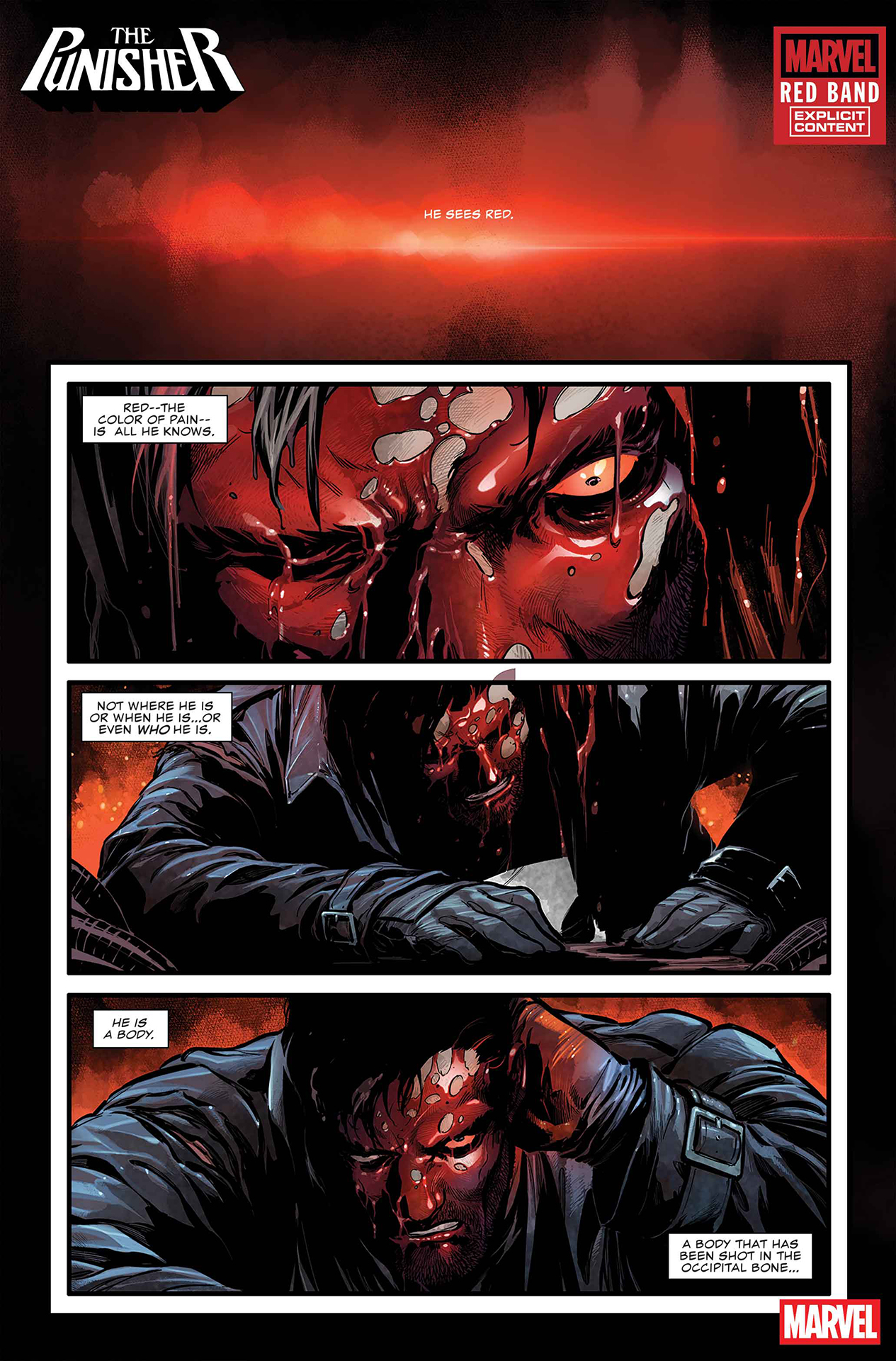 The Punisher: Red Band #1