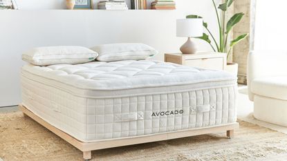 Avocado Plush Luxury Organic Mattress in a neutral bedroom on a pale wood frame and jute carpet. Beside is a pale nightstand and lamp with large houseplant, and behind is a white wall and books.