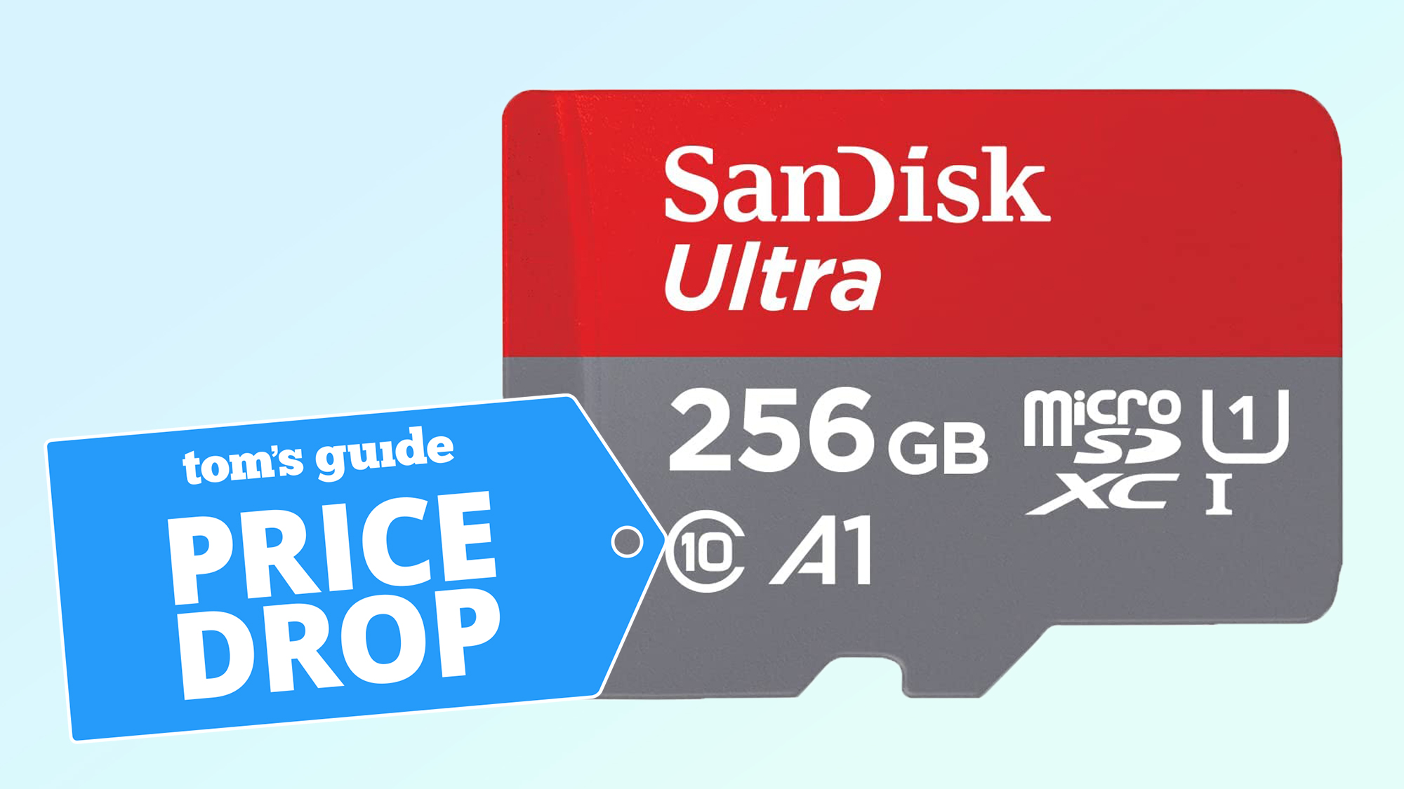 A 256GB SanDisk SD card with Tom's Guide Price Drop badge