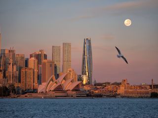 a city skyline in the background with a bright full moon in the upper right corner of the image. A flying seagull is visible below the full moon.