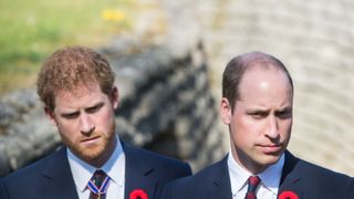 Prince Harry and Prince William.