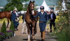 Britain&rsquo;s Charlotte Dujardin presents Imhotep during the 2022 World Dressage Championships in Herning, Denmark.