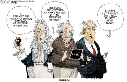 Political cartoon U.S. Donald Trump genius