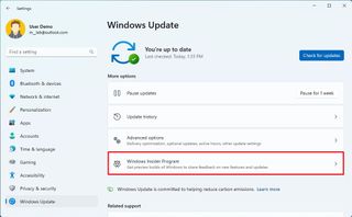 Open Windows Insider Program settings