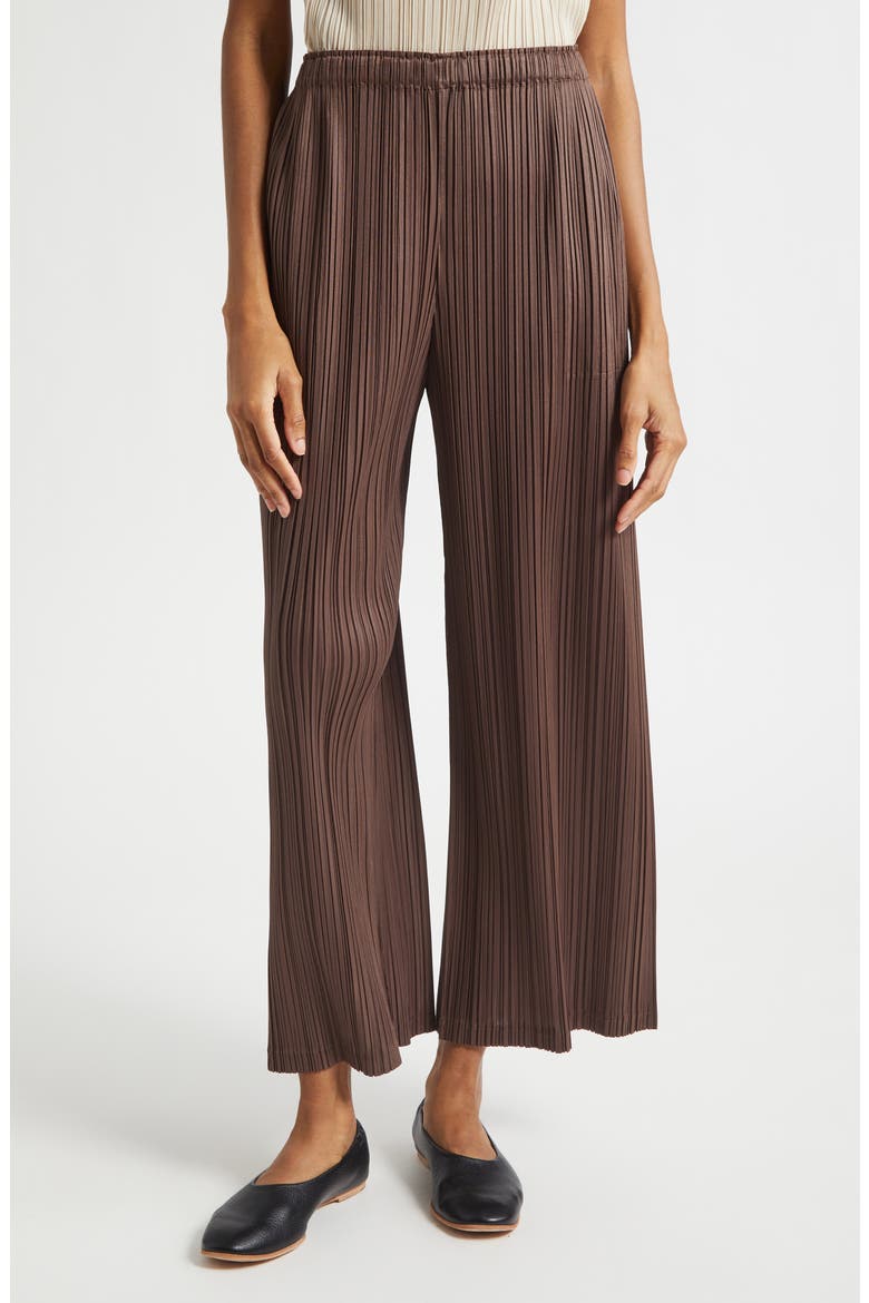 Loop Pleated Wide Leg Ankle Pants