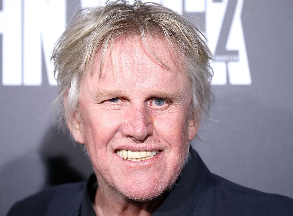 Gary Busey