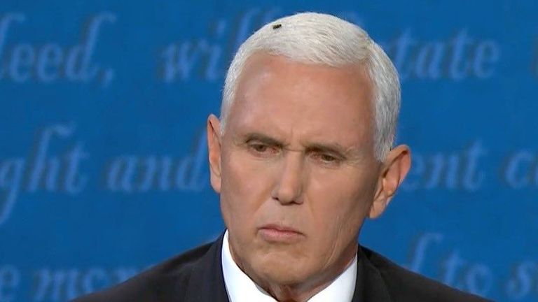 Mike Pence with a fly on his head.
