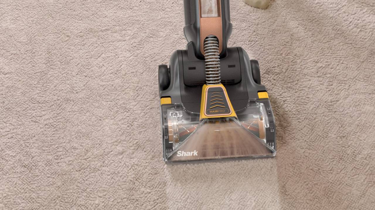 Shark CarpetForce