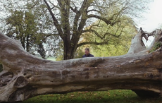 Badminton Horse Trials 2018 cross country