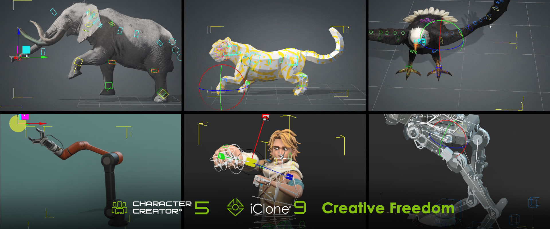 Reallusion software in use