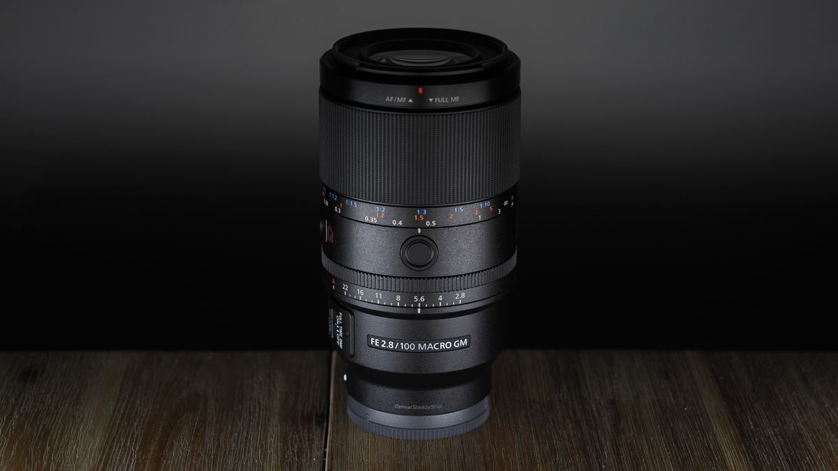 Sony FE 100mm f/2.8 Macro GM OSS on a wooden surface