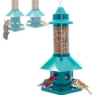 blue bird feeder
