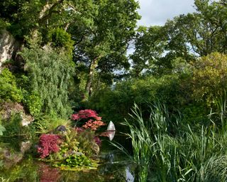 large natural pond landscaped with trees and plants