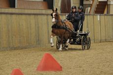 Alfie-emjoying-camp-e1464186303227.jpg