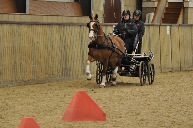 Alfie-emjoying-camp-e1464186303227.jpg