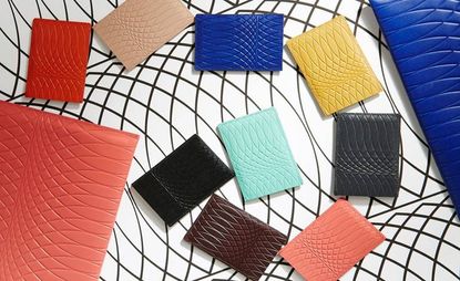 Bold coloured leather cases and purses
