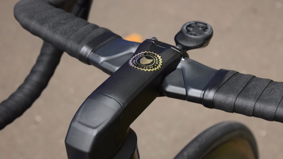 Each Quick-Step Floors rider has a 'Wolfpack' sticker on their bike