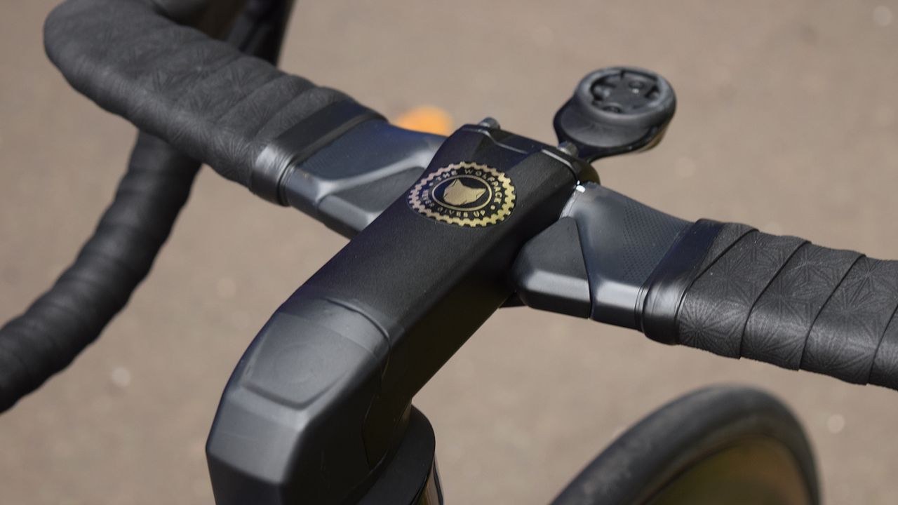 Each Quick-Step Floors rider has a 'Wolfpack' sticker on their bike