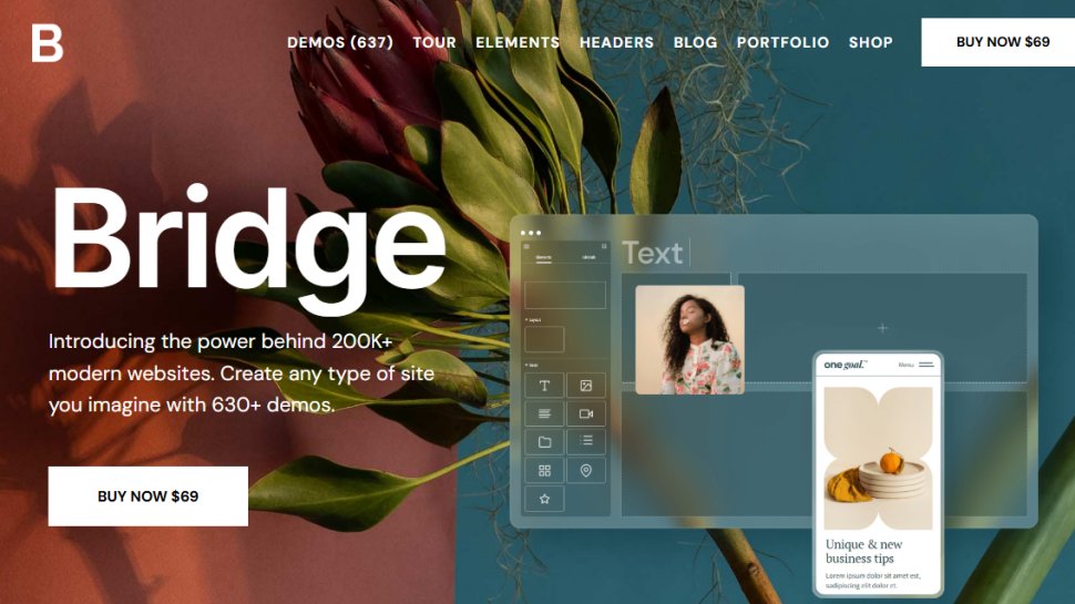 Website screenshot of Bridge (August, 2025)