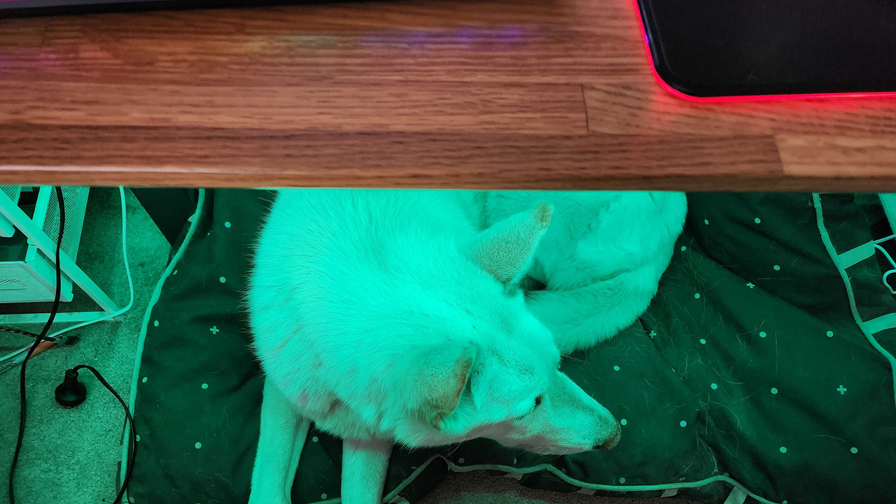 Nanoleaf Essentials Matter Lightstrip set-up on a desk.