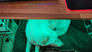 Nanoleaf Essentials Matter Lightstrip set-up on a desk.