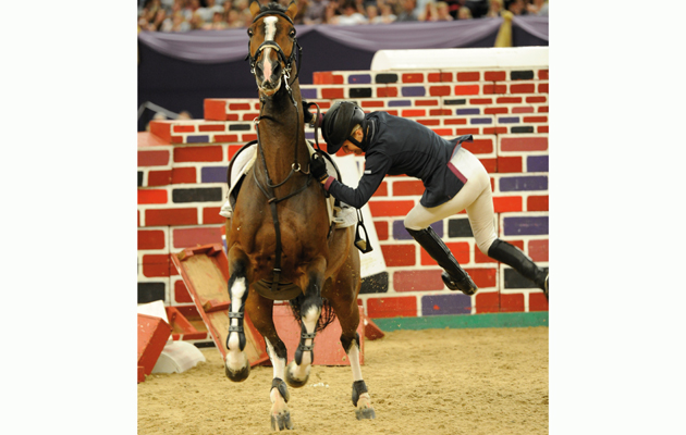 Horse of the year show 2011