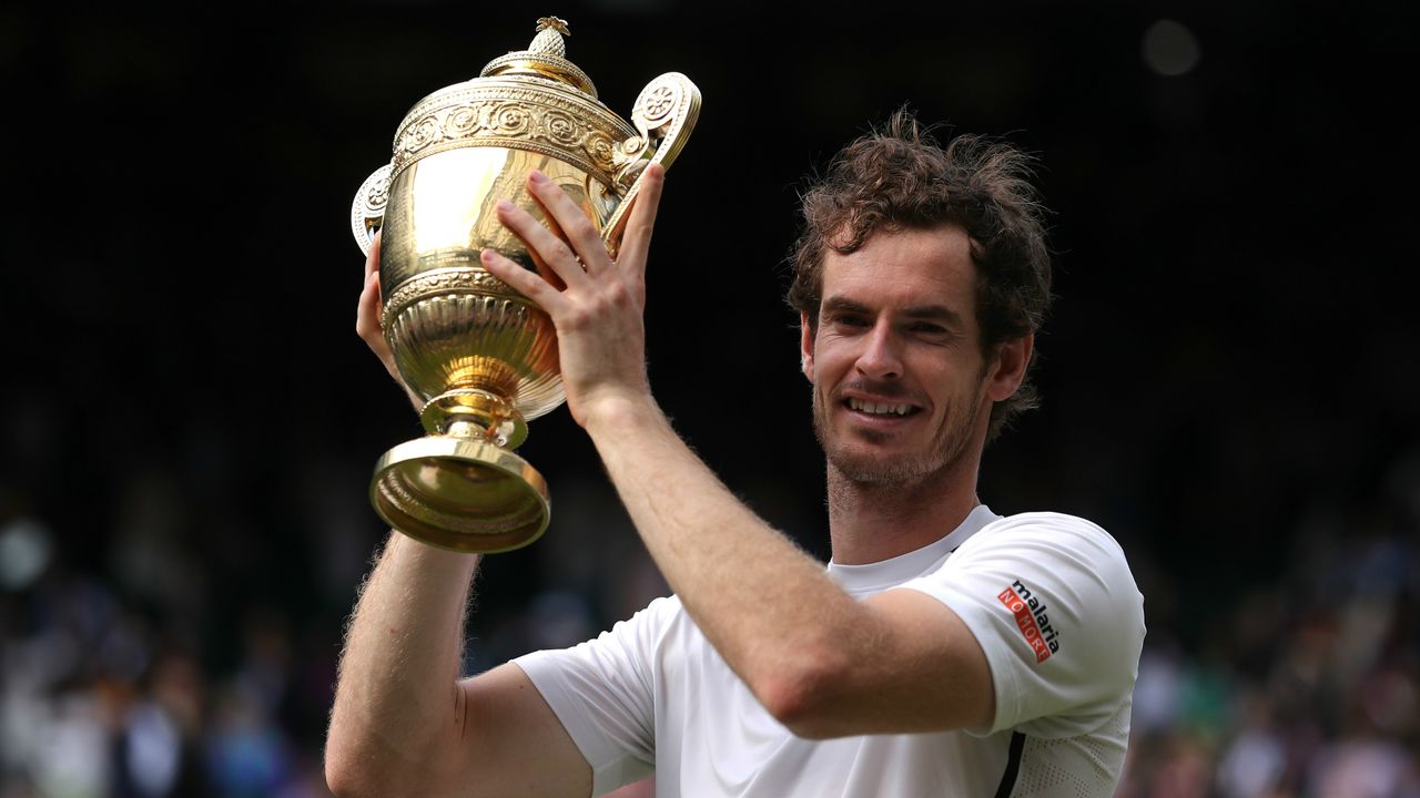 Andy Murray wins Wimbledon
