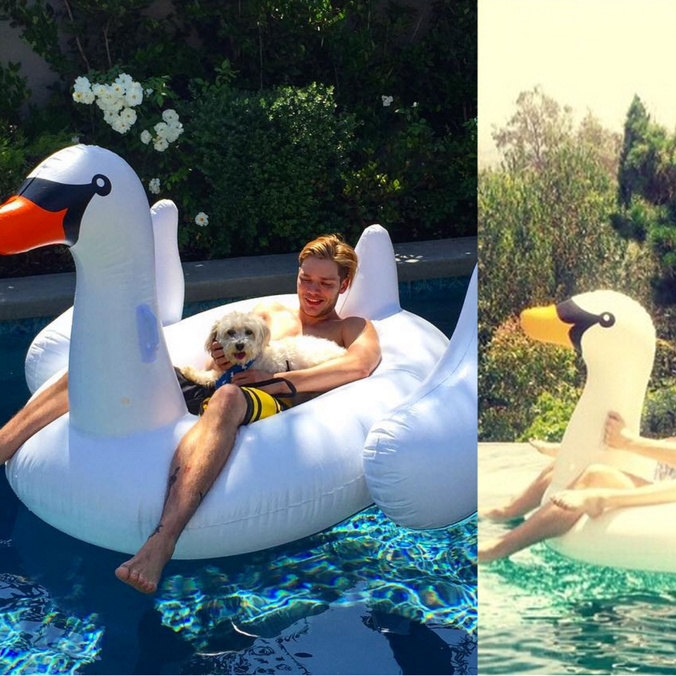 Celebrities on Swan Pool Floats - Hollywood Star Summer Pool